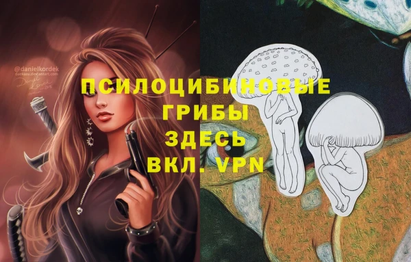 сатива Магадан