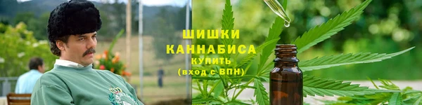 индика Майский