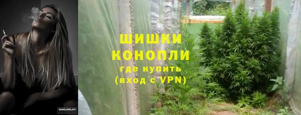 молекула духа Медвежьегорск