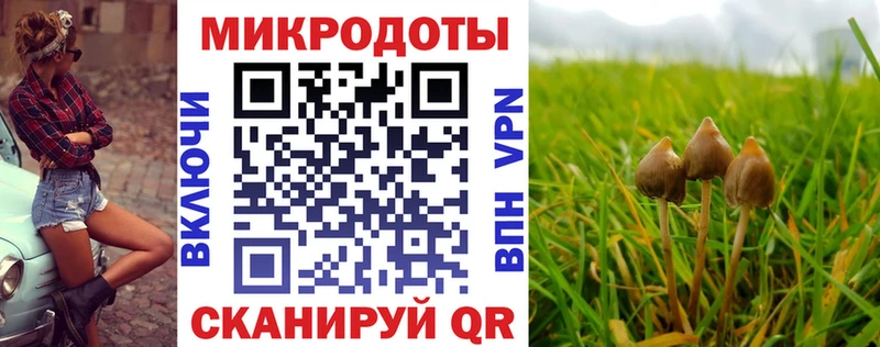 купить наркотики сайты  Ивангород  Галлюциногенные грибы Magic Shrooms 